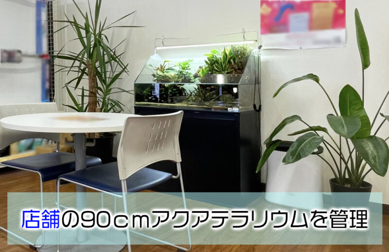店舗様のアクアテラリウム水槽！緑を楽しめる90cmの水景サムネイル