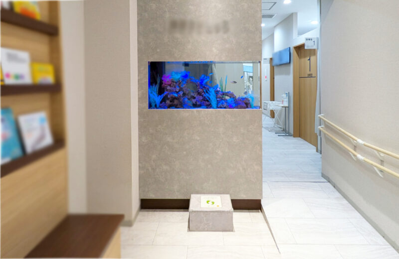 耳鼻科クリニック様の120cm埋め込み式水槽！半年後の様子 水槽画像２