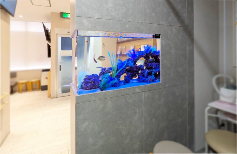 耳鼻科クリニック様の120cm埋め込み式水槽！半年後の様子 水槽画像４
