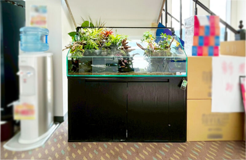 店舗様のエントランスに設置！お客様の目を惹く120cmアクアテラリウム 水槽画像２