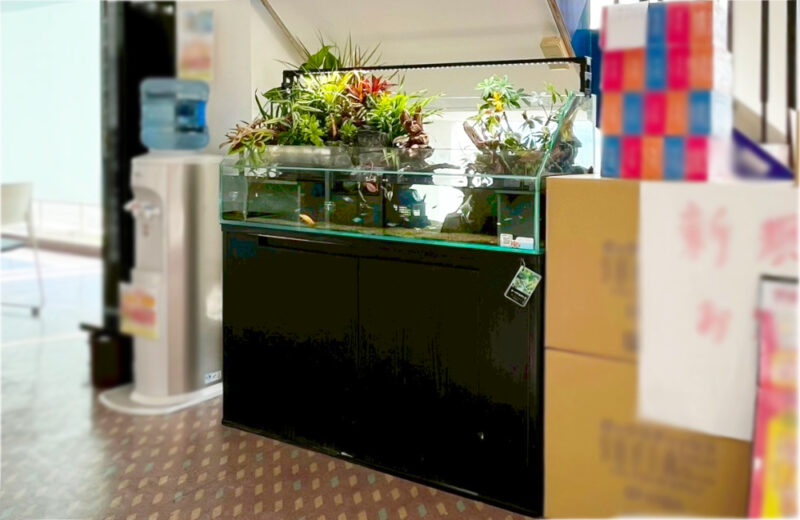 店舗様のエントランスに設置！お客様の目を惹く120cmアクアテラリウム 水槽画像４