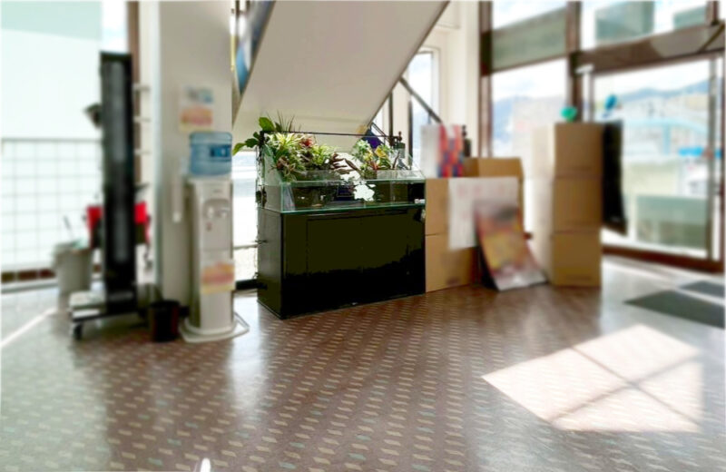 店舗様のエントランスに設置！お客様の目を惹く120cmアクアテラリウム 水槽画像５