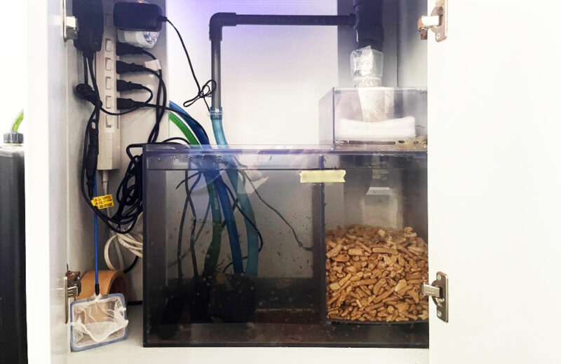 オフィスの水槽レンタル事例！60cmの海水魚水槽について紹介 水槽画像４