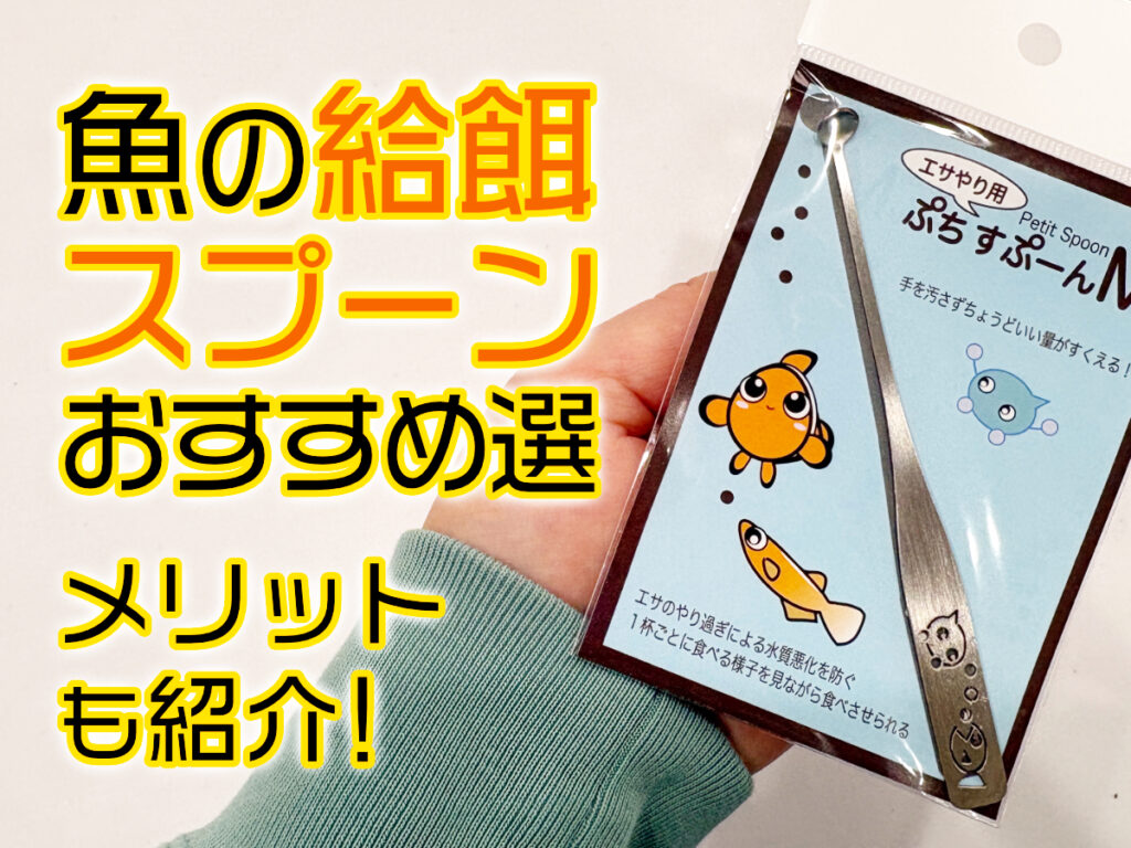 魚の給餌スプーン5選!ボトルや小型水槽で使うメリットなどを紹介しますのサムネイル画像