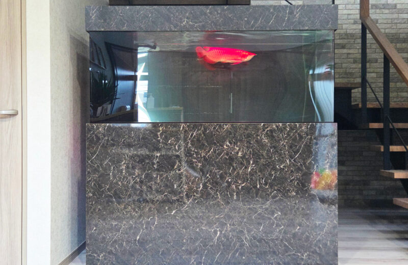 企業に150cmのアクリル製アロワナ水槽一式を販売・定期メンテナンス！ 水槽画像２