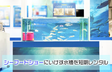シーフードショーに水槽を短期レンタルする様子