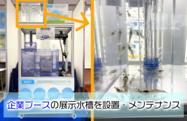 企業ブースの展示水槽を設置・メンテナンス