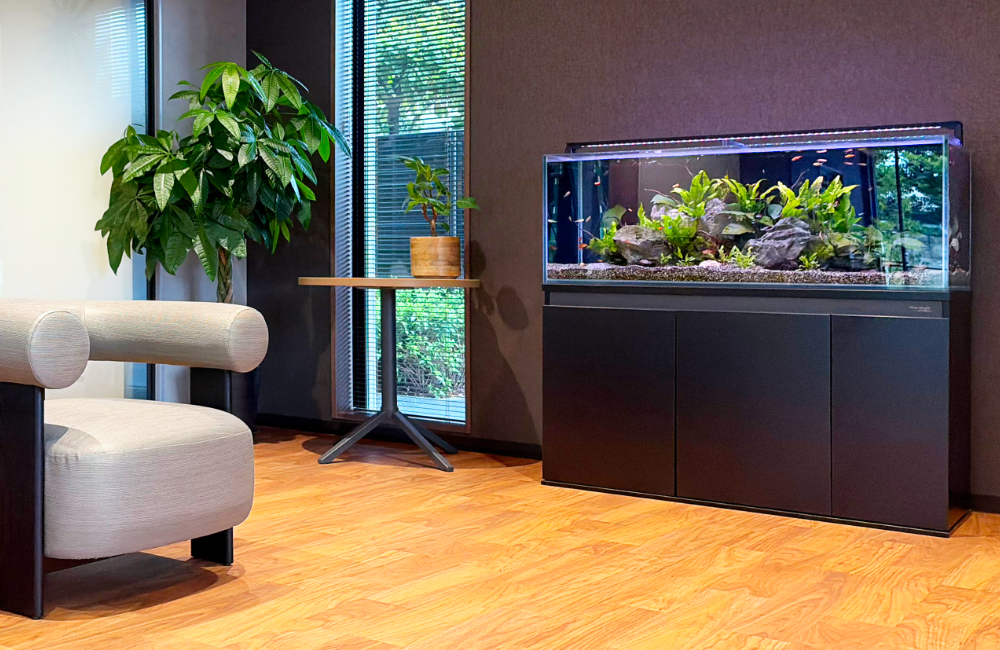 モダンな部屋に置かれた熱帯魚水槽と観葉植物