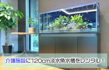 介護施設に120cm淡水魚水槽をレンタル！