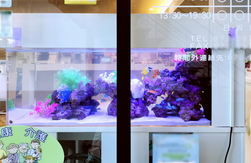 カラフルなサンゴと熱帯魚のアクアリウム