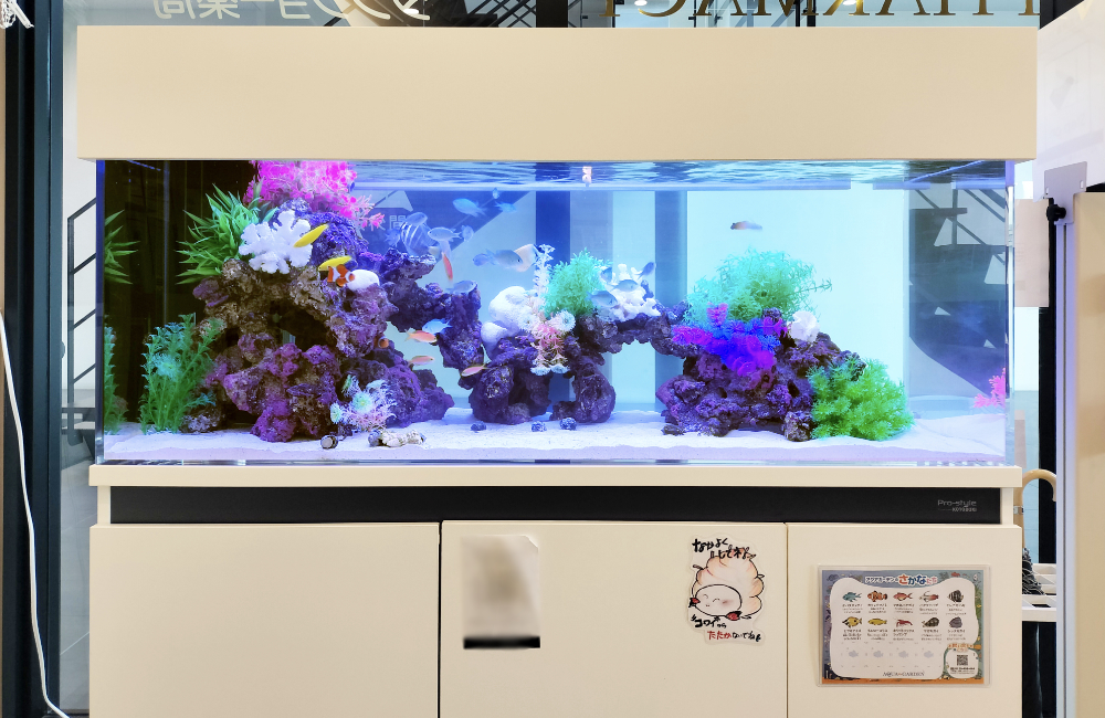 カラフルな水草と魚が泳ぐアクアリウム水槽