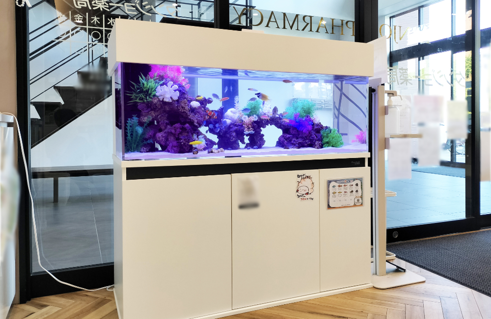 カラフルなサンゴと熱帯魚のアクアリウム水槽