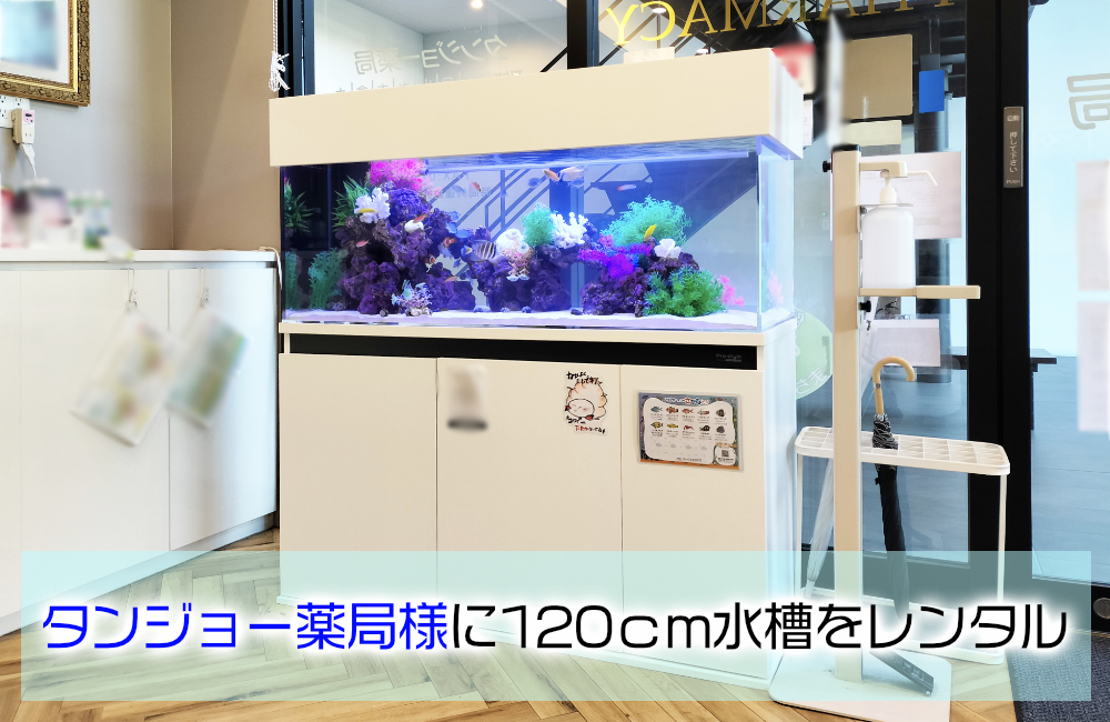 タンジョー薬局様に120cm海水魚水槽をレンタル!外からも楽しめるアクアリウム メイン画像