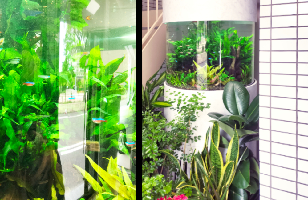 緑豊かな水槽と観葉植物の配置