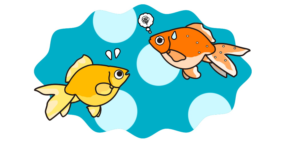 金魚の病気対策と金魚を長生きさせる方法