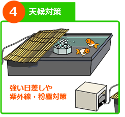 屋外金魚水槽 設置ステップ４