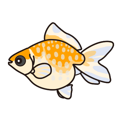 金魚水槽レンタル ピンポンパール