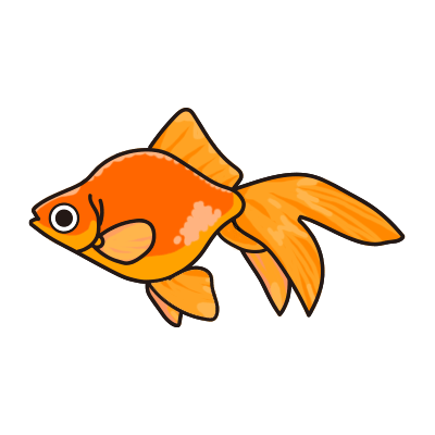琉金 金魚の飼い方