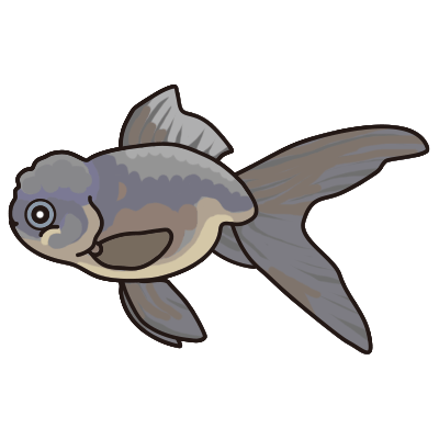 金魚水槽レンタル 青文魚