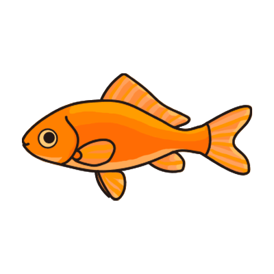 金魚水槽レンタル 和金