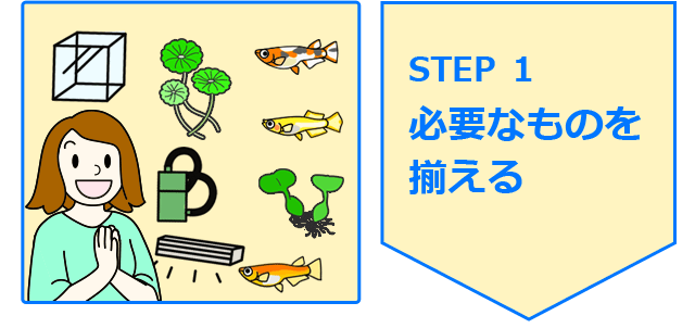メダカの飼い方 メダカ水槽 水草 種類 産卵のポイント 東京アクアガーデン