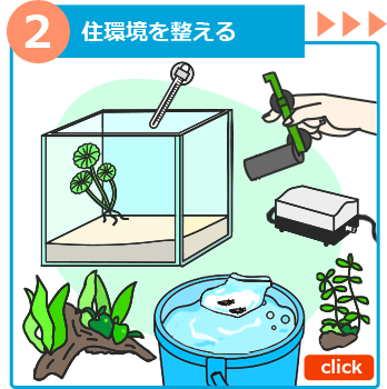 熱帯魚の飼い方２ 水槽設置