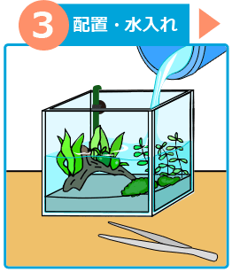 熱帯魚水槽 設置方法３