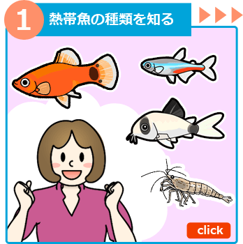 熱帯魚の飼い方１ 熱帯魚の種類