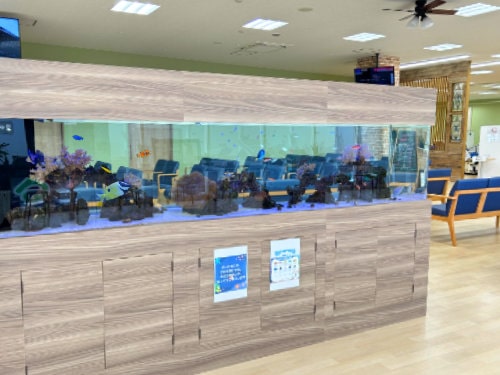 東京アクアガーデン2024年