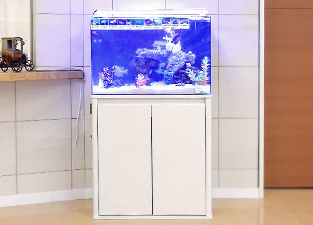 60cm海水魚水槽レンタル リース料金 東京アクアガーデン