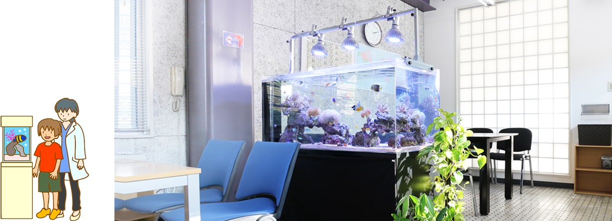 東京アクアガーデン 水槽レンタルサービス 海水魚水槽